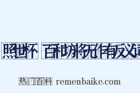 照世杯·百和坊将无作有反义词是什么意思的图片